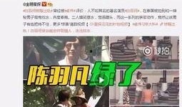 河南出轨爆料视频最新,真相与争议交织